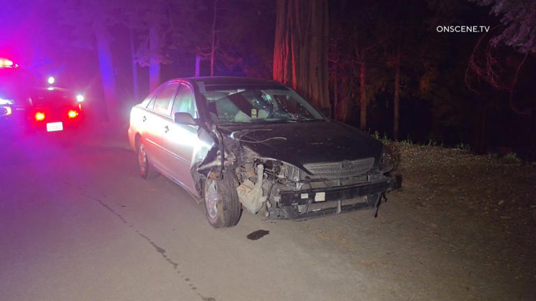 Video shows DUI driver who crashed car into tree laughing her way ...