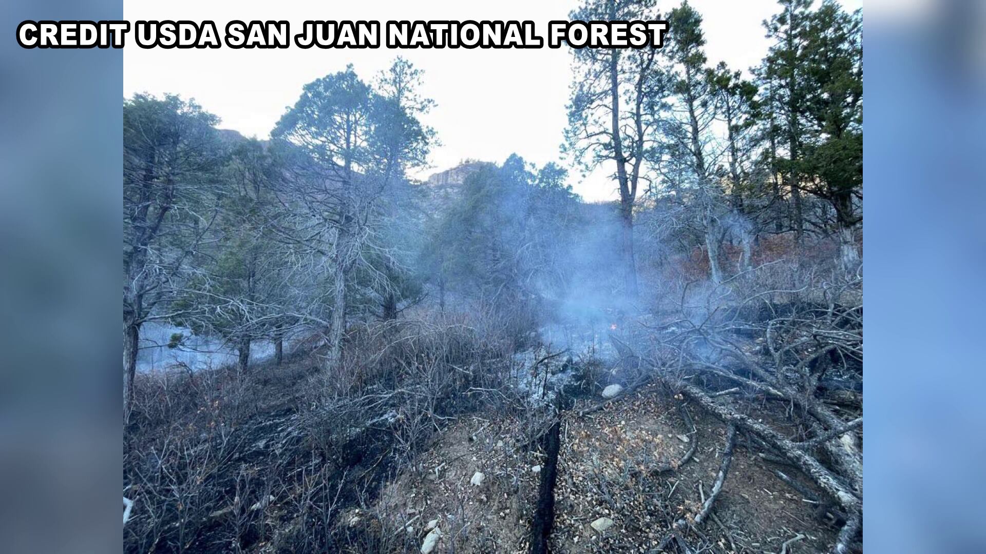 Firefighters battle 1.5-acre fire in San Juan National Forest