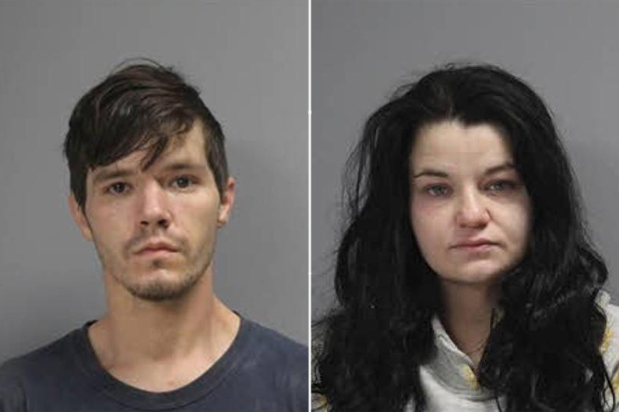 Owner of Texas animal rescue accused of starving 80 dogs in her care ...
