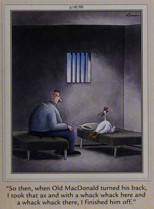 A chicken in prison.