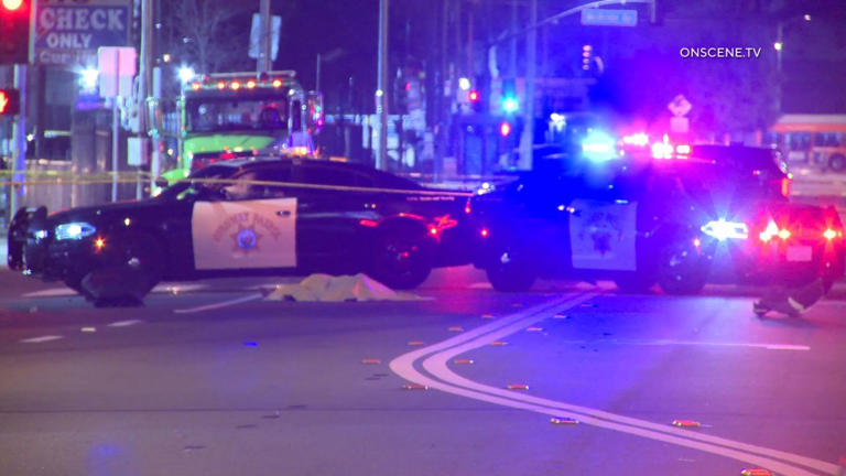 Horrifying moment pedestrian is killed in hit-and-run crash in Los Angeles