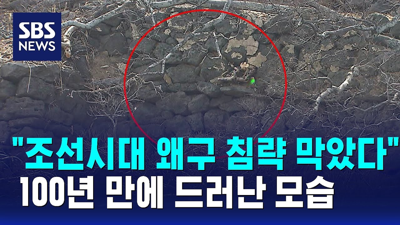 조선시대 왜구 침략 막았다…100년 만에 드러난 모습 / SBS