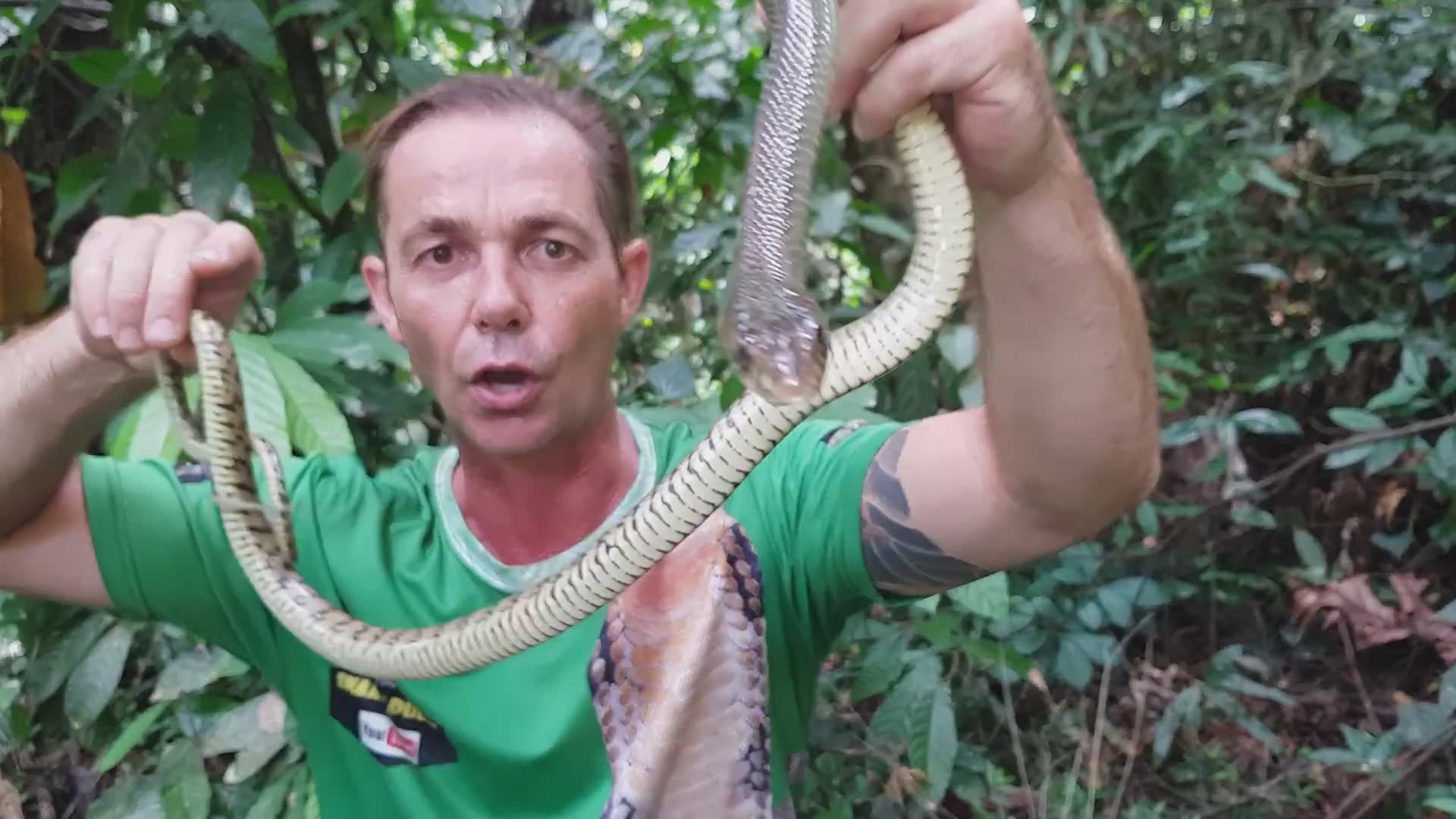 An expedition into remote wilderness terrain searching for rare wild ...