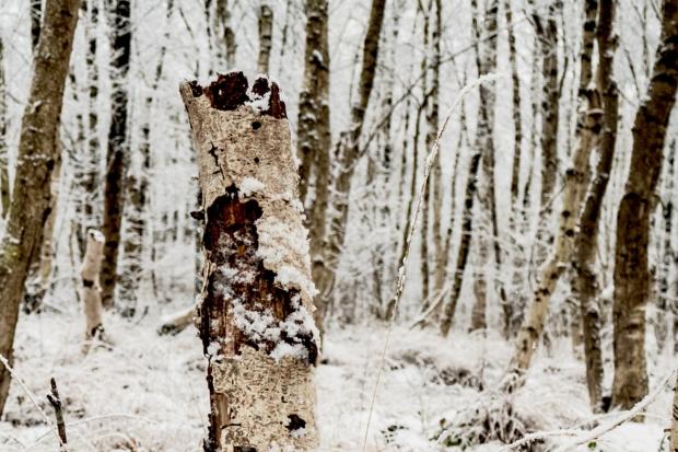New details on life as a caveman revealed by Oxford-led study