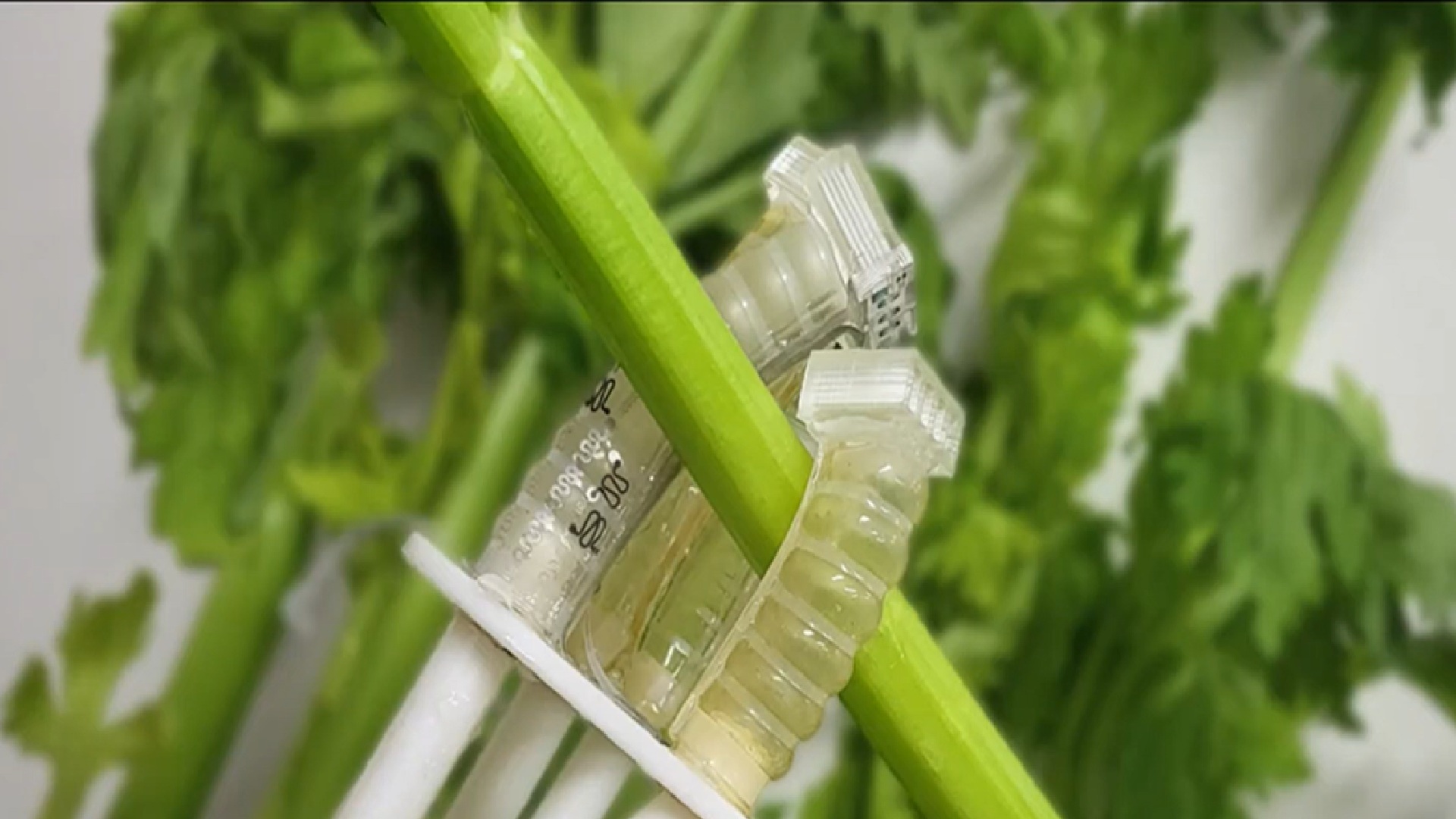 New fully compostable robot survives over 1 million uses then ...