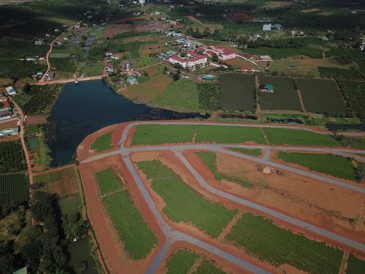 Phó chủ tịch Bùi Minh Thạnh: Nghiên cứu quy định diện tích tối đa cho tách thửa để tránh phân lô