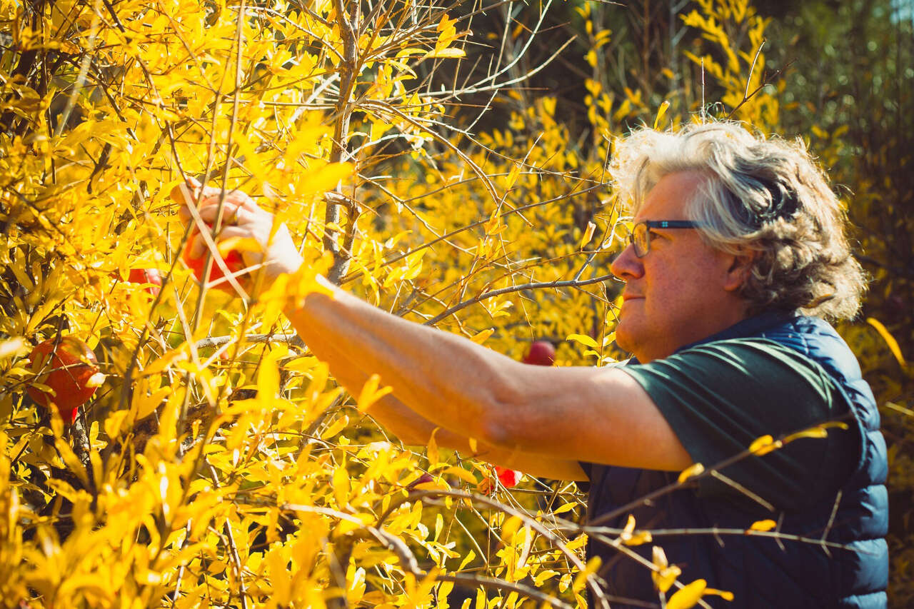 The co-founder of Chicago's influential Alinea is opening a Napa Valley ...