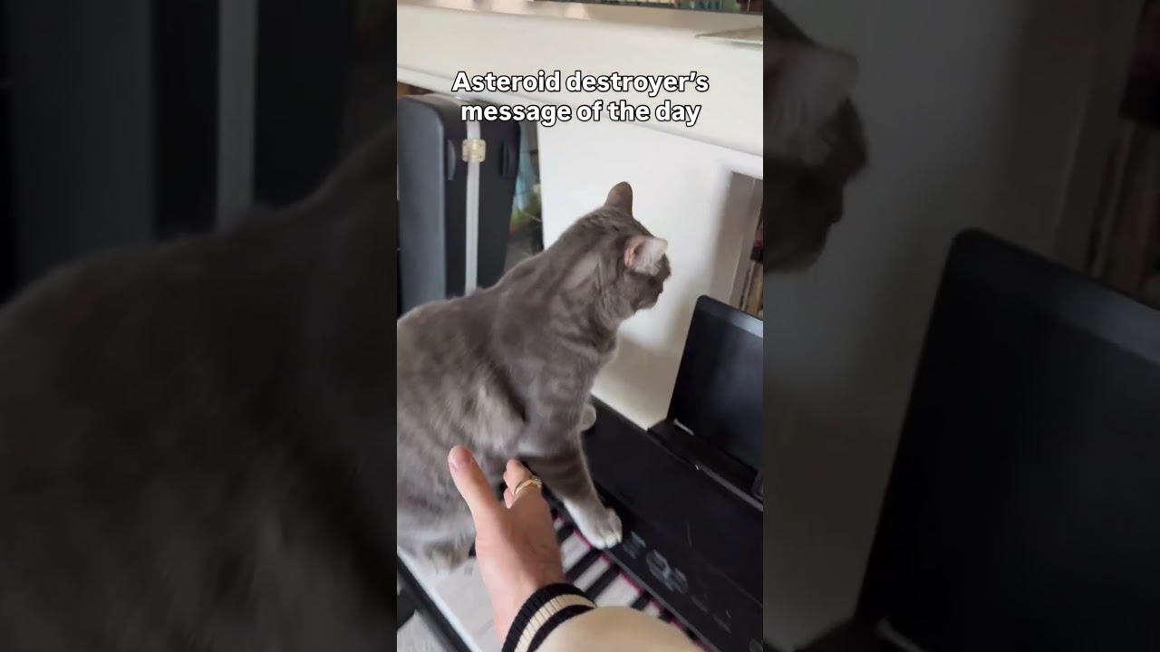 Sweet helpful cat delivers a loving message to you