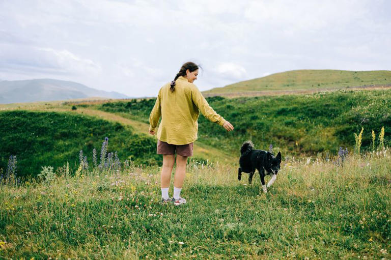 Dog walkers can have pets seized from today if police think crime might ...