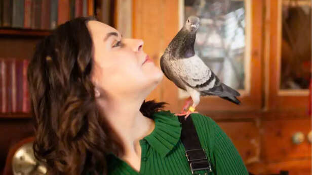 Woman rescues injured pigeon from pub, internet names her Penny; the ...