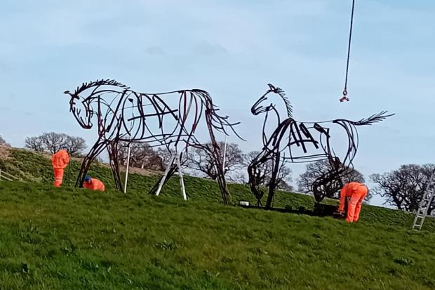 Four tonne bull and mare statues mark milestone on Carlisle Southern ...