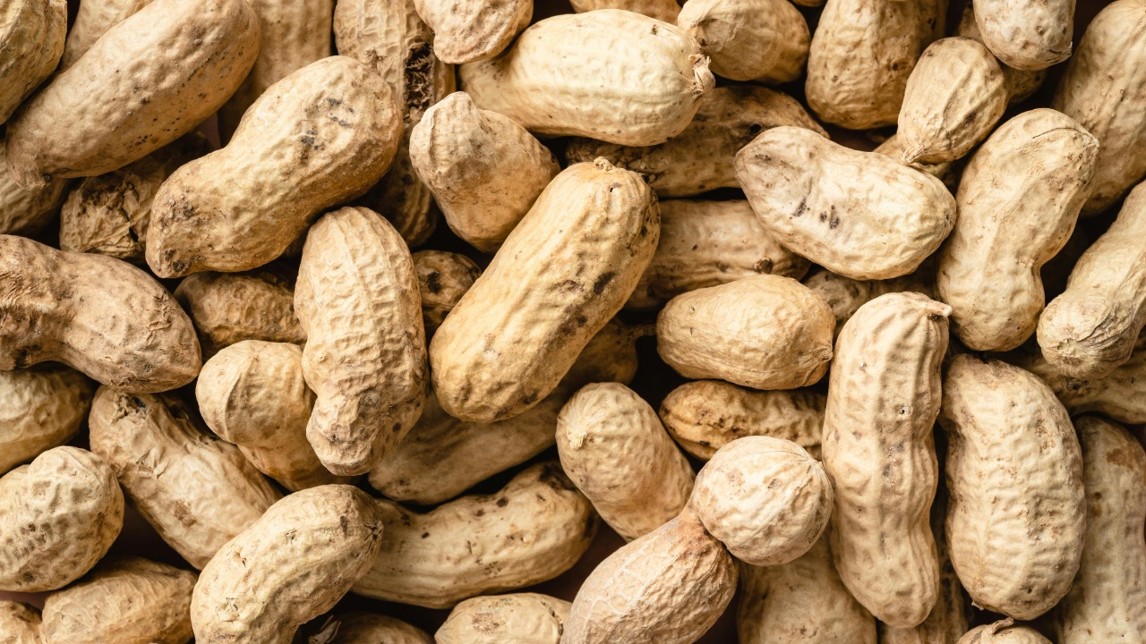 Peanut shells turned into a useful material in new lab study