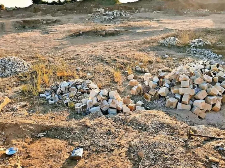 Two million years of history at stake: Papamiya Tekdi and Bhatala sites ...