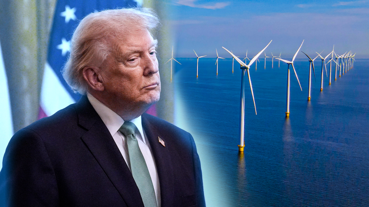 Trump wants to pay a company almost $1 billion to cancel its wind ...