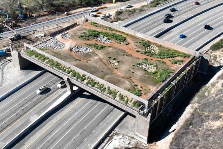 California’s unfinished wildlife 'bridge to nowhere' tops $100M