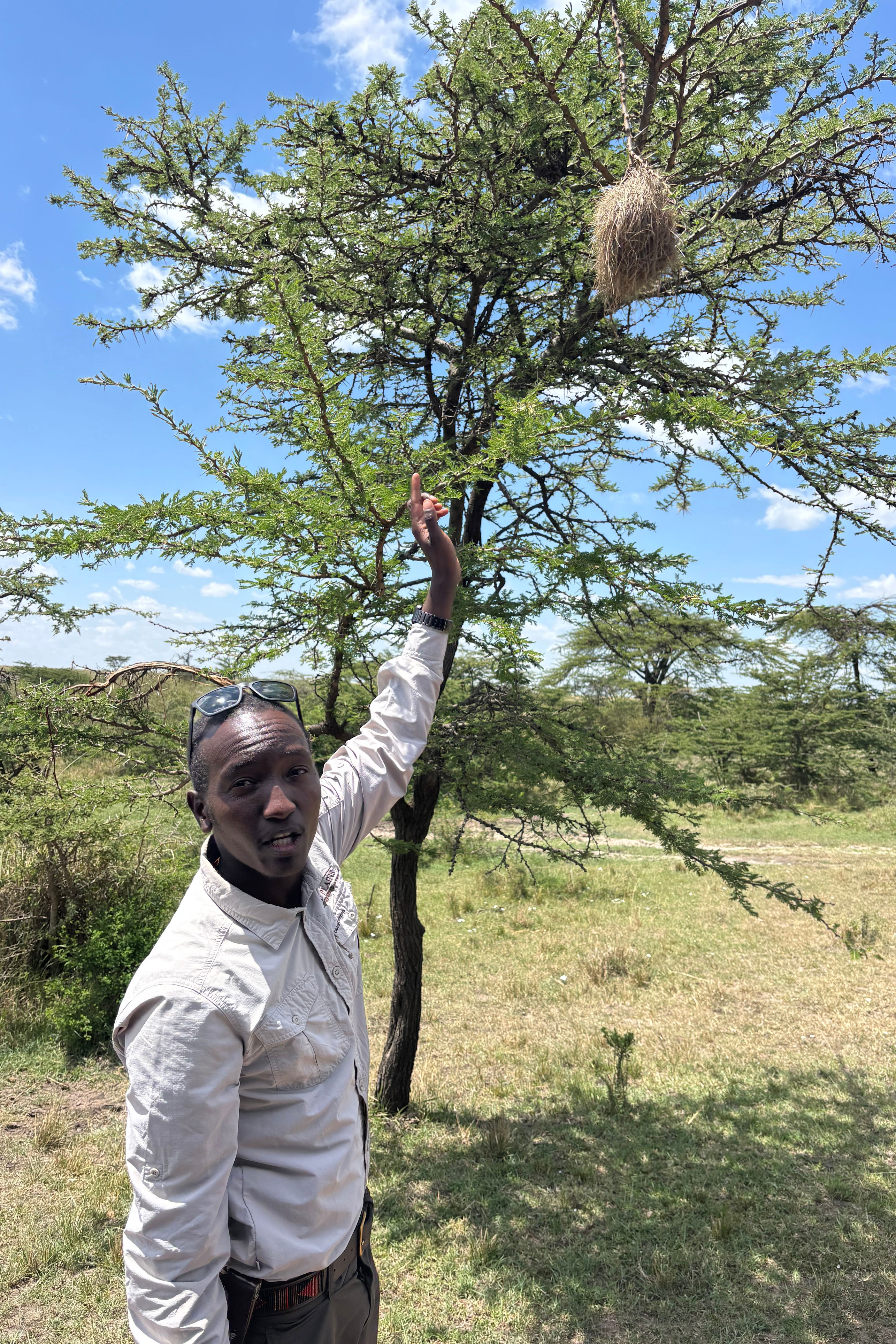 I travelled to the Maasai Mara 30 years after my first visit