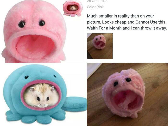 Expectations vs reality: 49 Temu and Aliexpress fails
