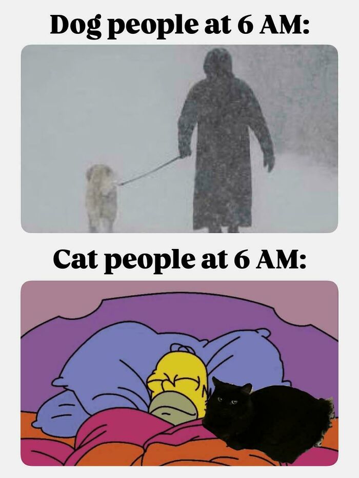 98 Memes That Are Way Too Accurate