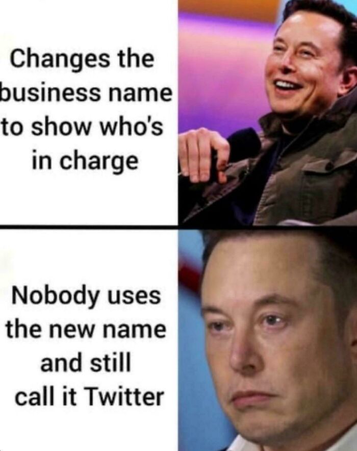 98 Memes That Are Way Too Accurate