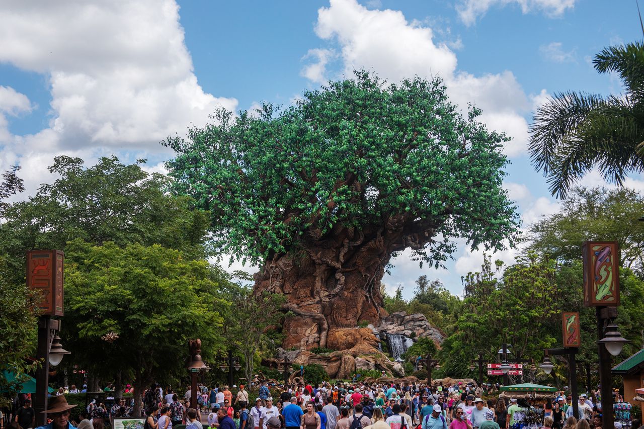 People gathering near the Tree of Life in Disneys Animal Kingdom theme park surrounded by lush greenery and a clear sky