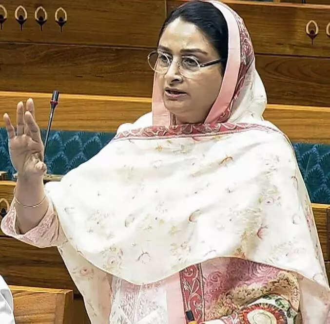 SAD MP Harsimrat Badal calls for judicial probe into 'missing' flood ...