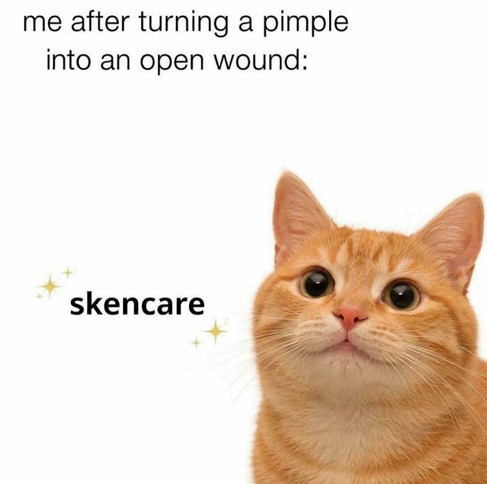 98 Memes That Are Way Too Accurate