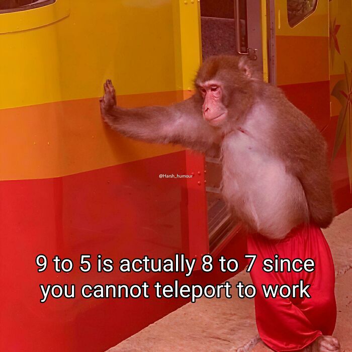 98 Memes That Are Way Too Accurate