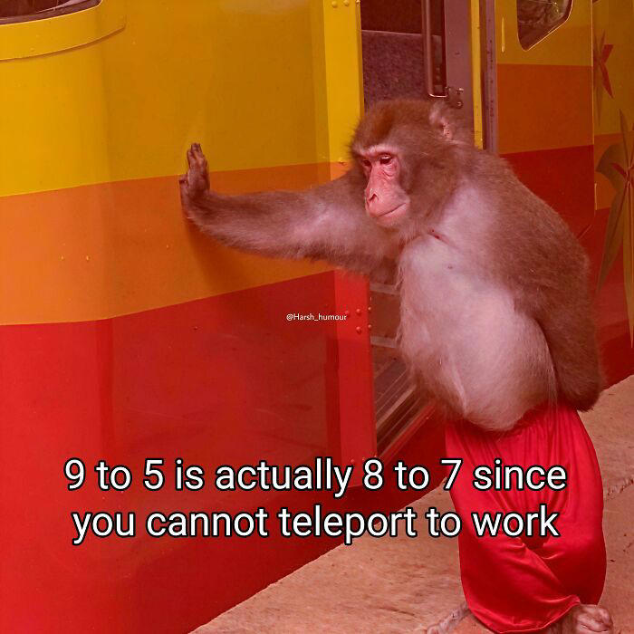 98 memes that are way too accurate