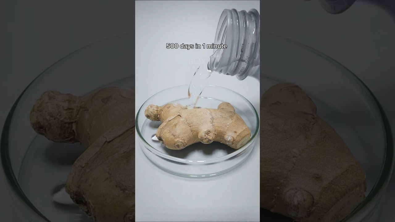 500 days in 1 minute. Ginger, kiwi and carrot
