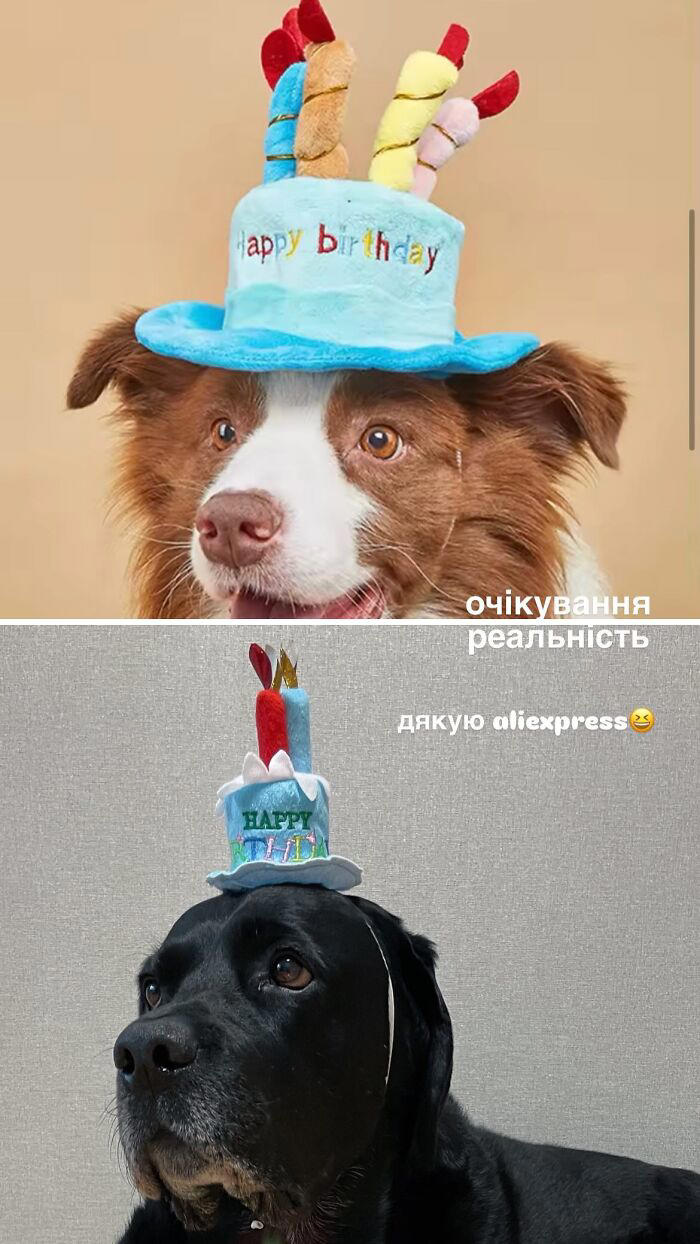 Expectations vs reality: 49 Temu and Aliexpress fails
