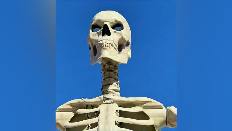 Have you seen a skull? Medway Parks & Rec is missing one