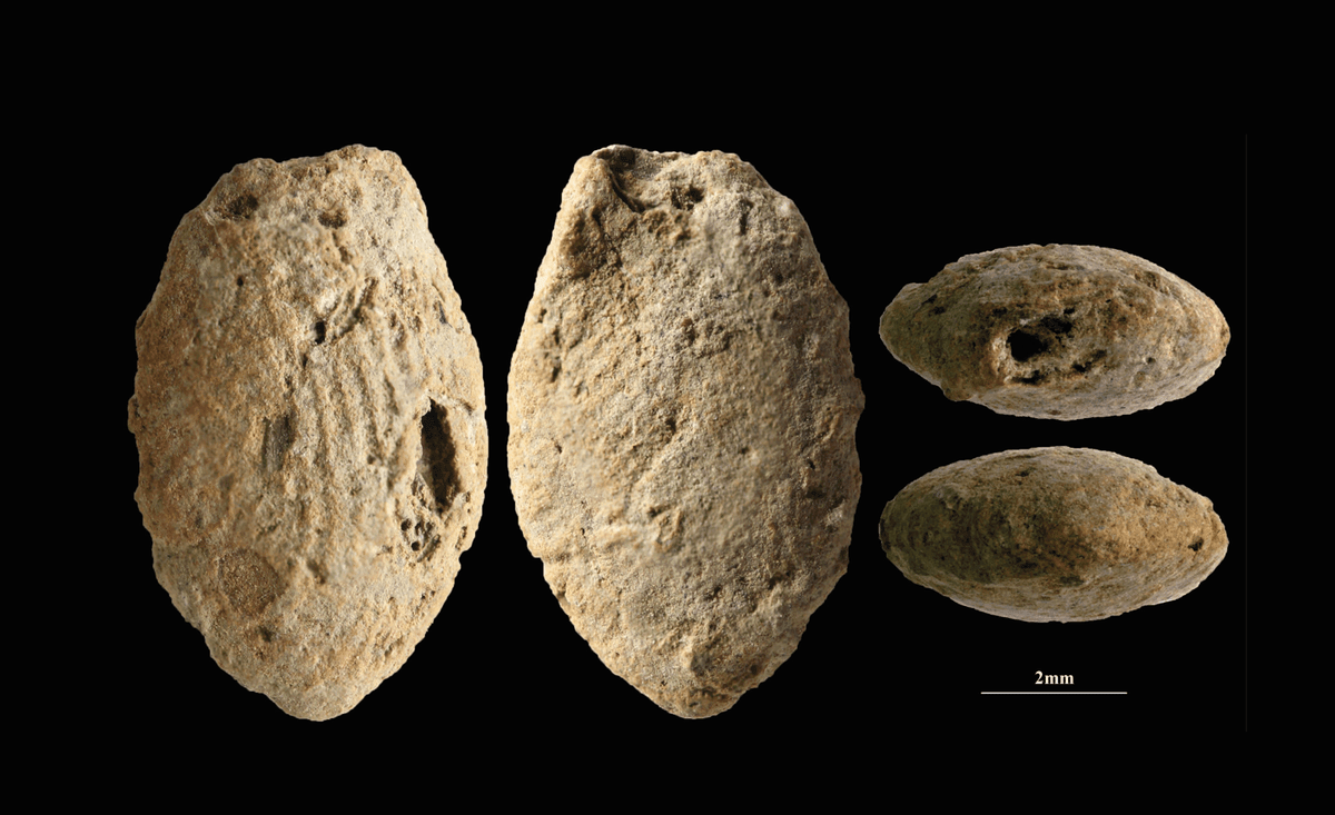15,000-year-old clay beads made by adults and children may reveal the ...