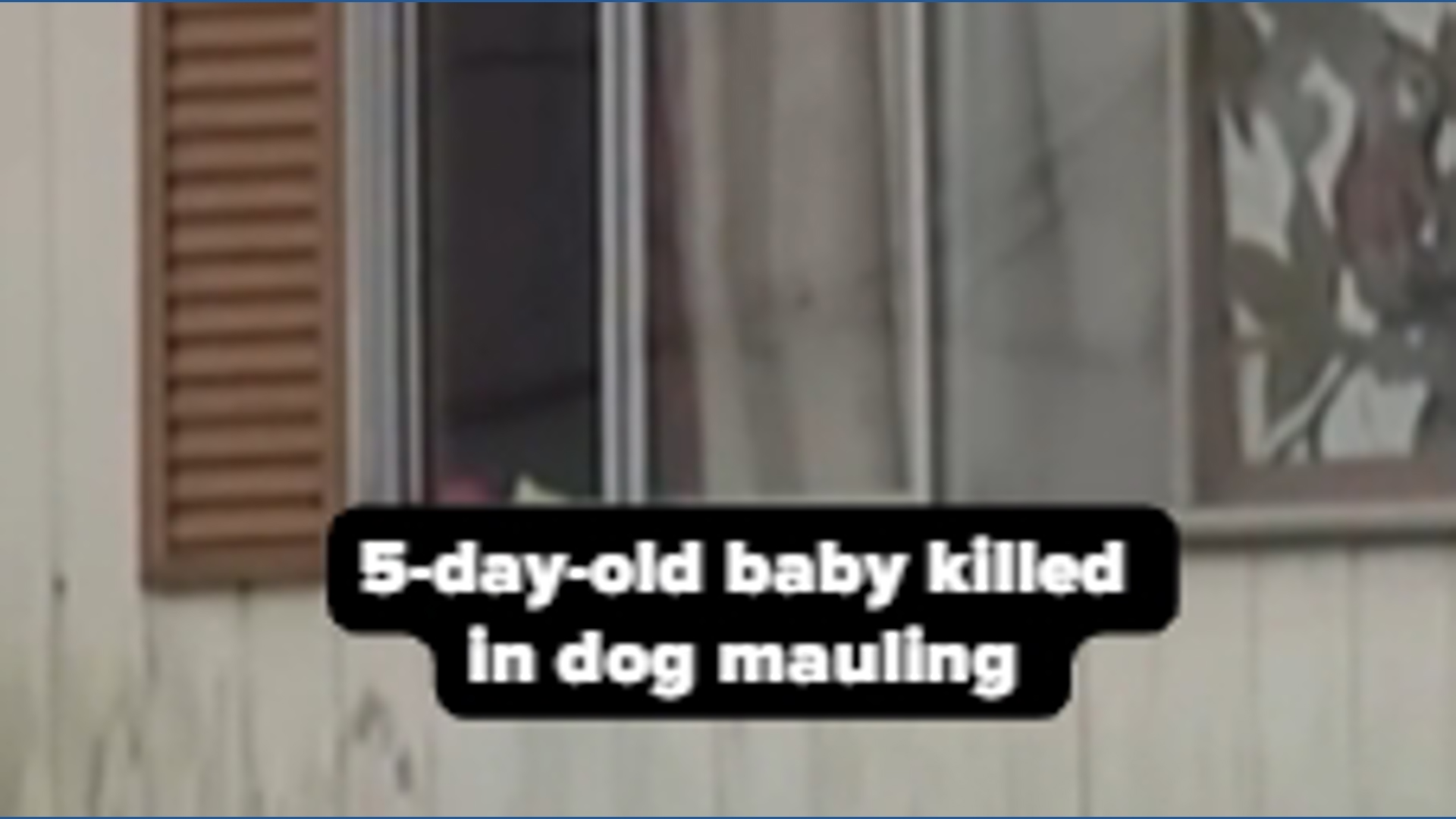 Baby, days old, killed in dog mauling