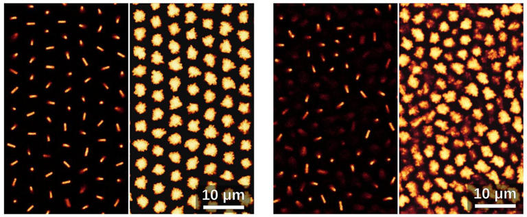 Is glass a solid or a super slow liquid? Physicists create equilibrium ...