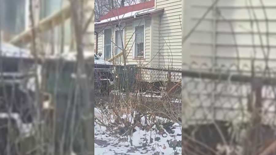 Dog found dead, others removed in Rochester animal cruelty investigation