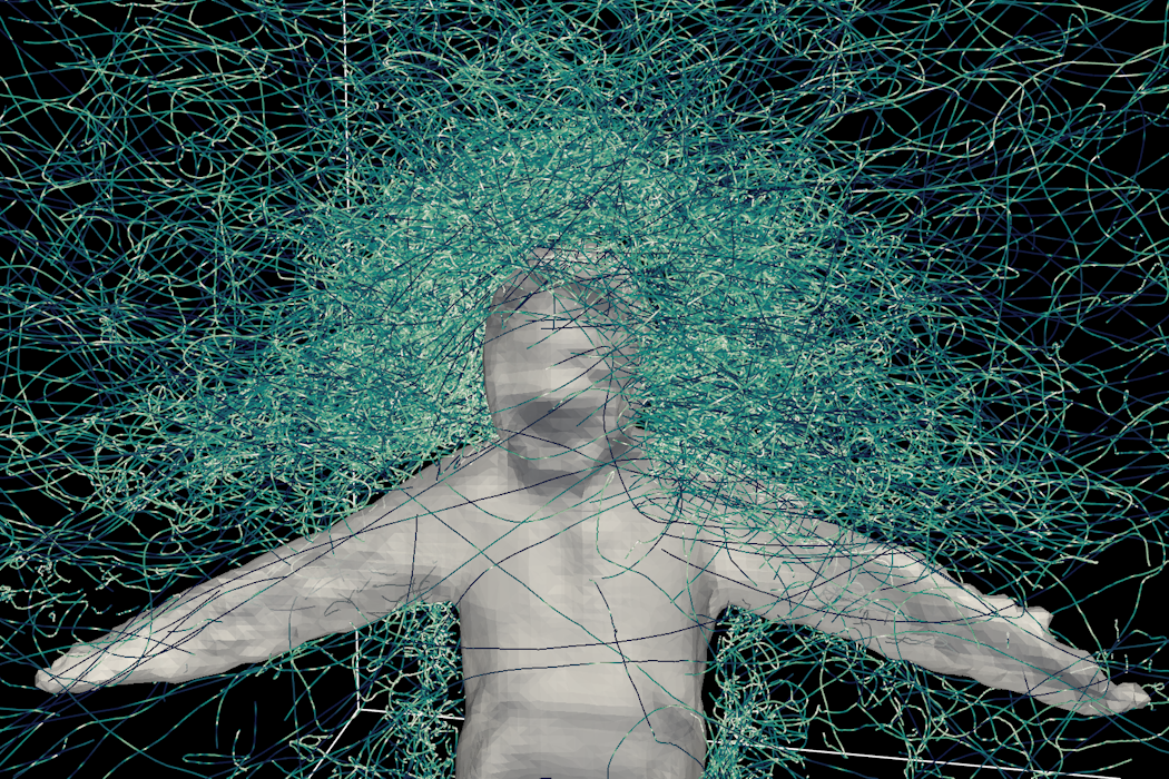 Hundreds of hungry mosquitoes, a student volunteer and a mesh suit ...