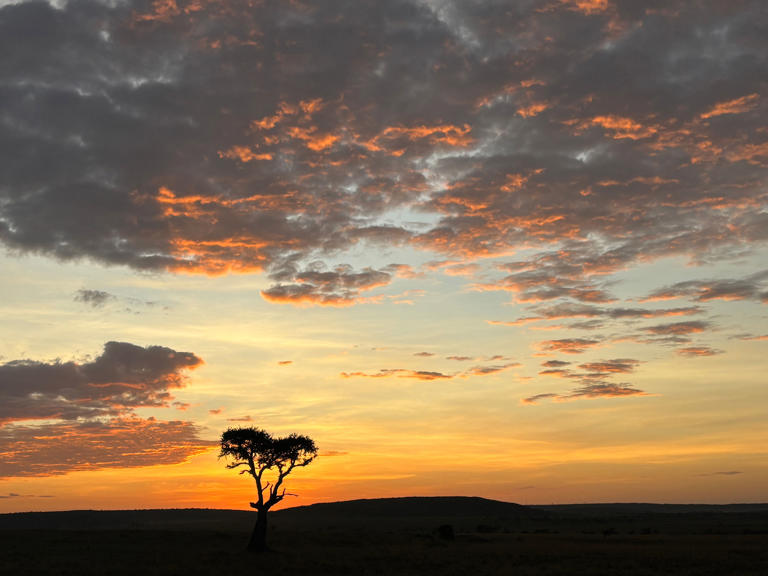 I travelled to the Maasai Mara 30 years after my first visit