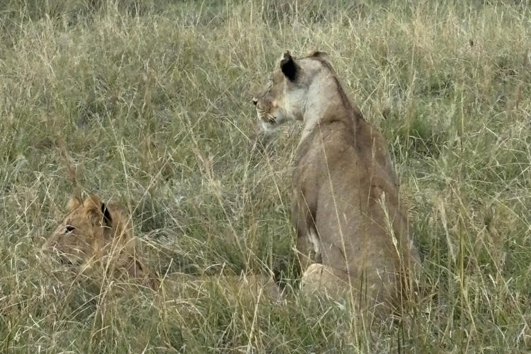 I travelled to the Maasai Mara 30 years after my first visit