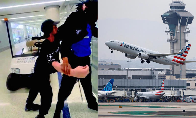 Australian traveler filmed yanking TSA agent's hair at LAX airport ...