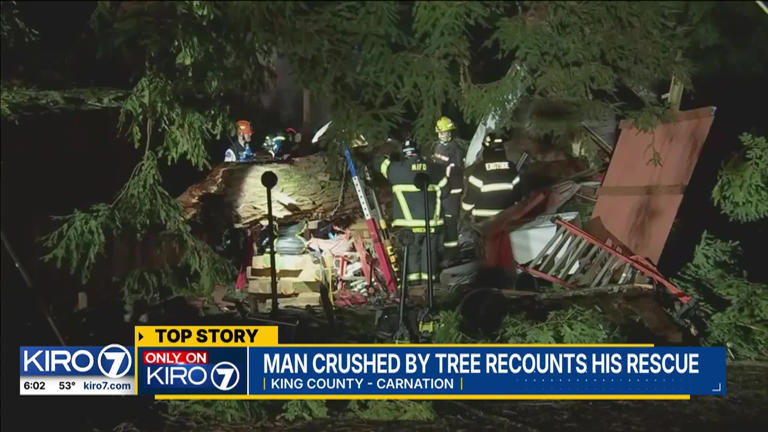 Tree fall survivor speaks from hospital