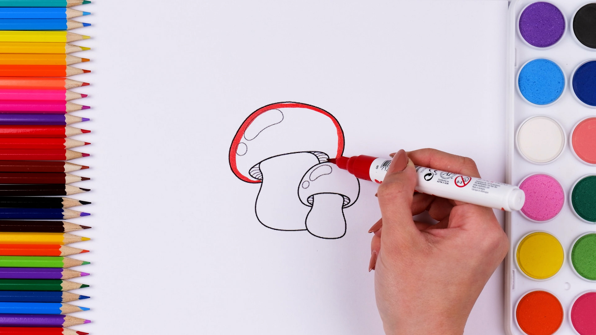 Learning colors while coloring in drawings