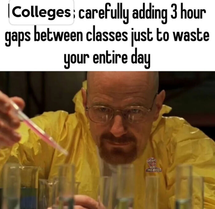 98 Memes That Are Way Too Accurate