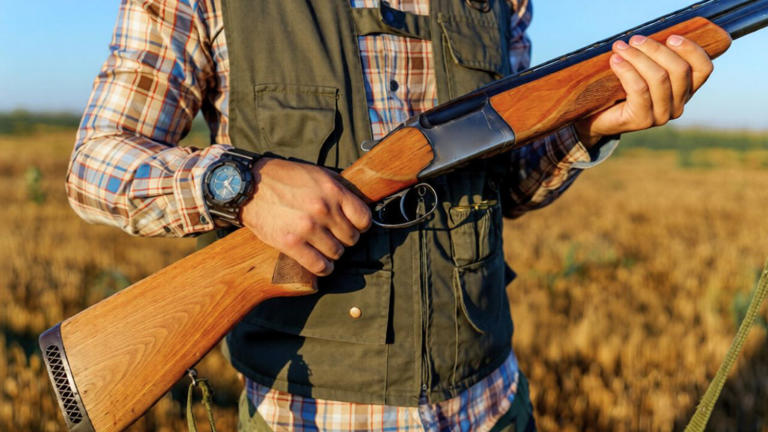 I tried to make one rifle do everything and it never felt right for any ...