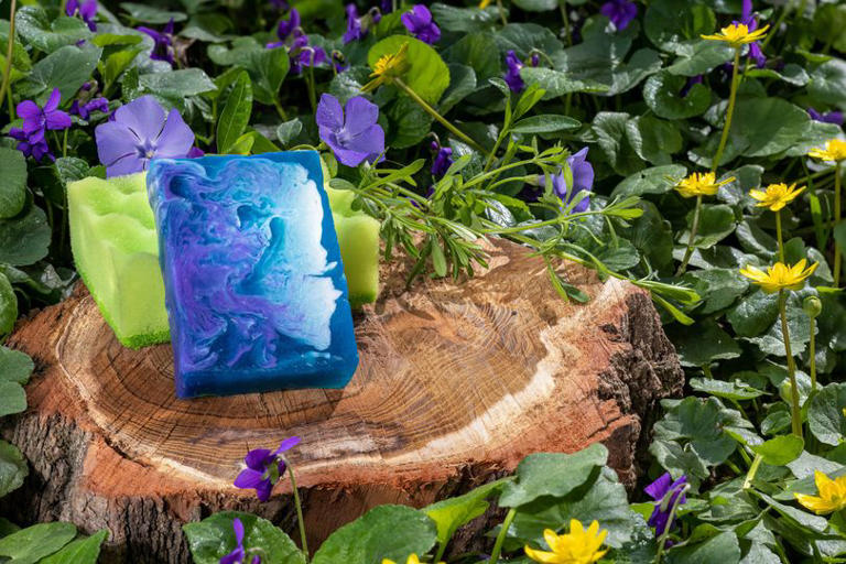 Gardeners told to put sponges in their gardens this spring