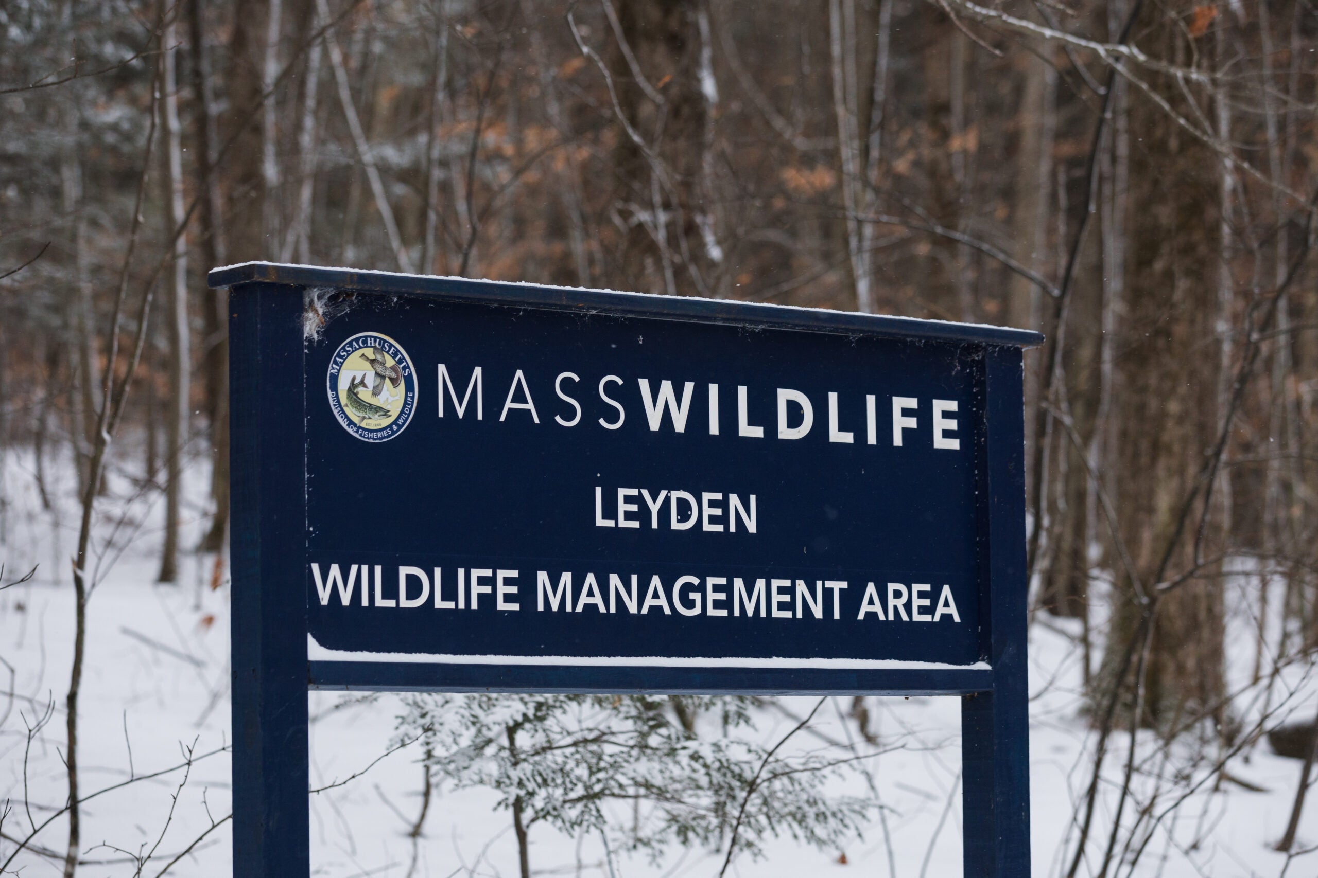 NTSB: Flight instructor in fatal Mass. plane crash had 'do not fly ...