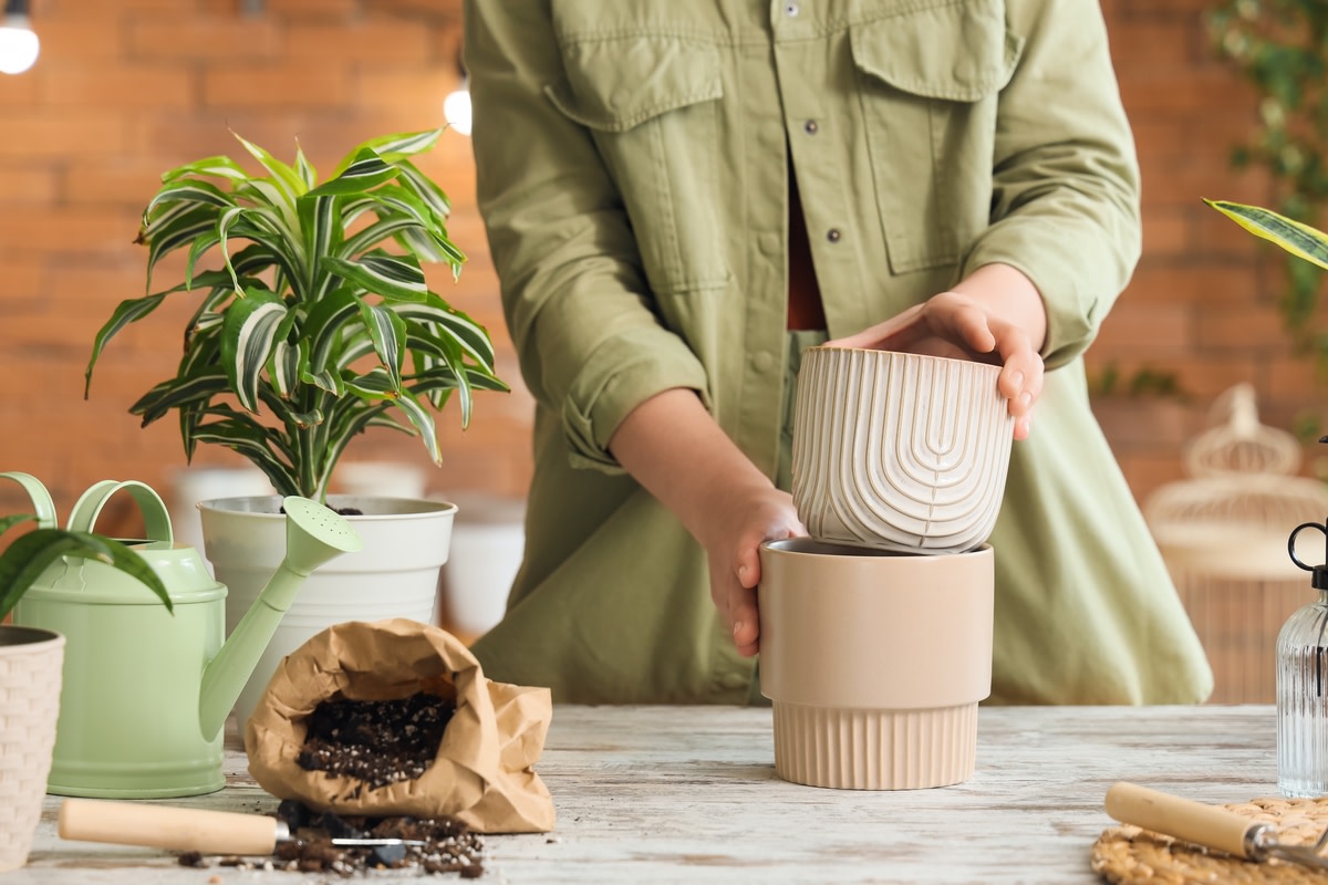 Choose the right pot for your plants with these tips for thriving ...