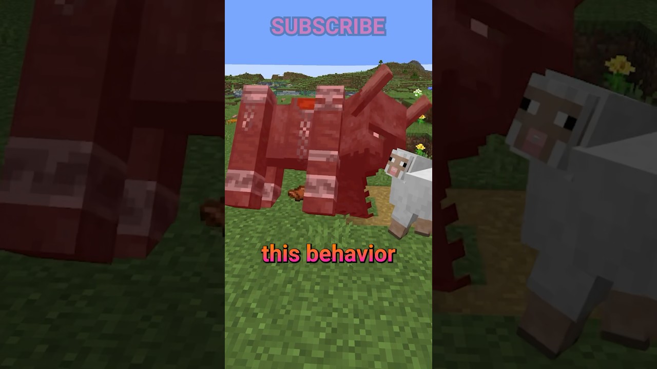 The weirdest mob behavior?