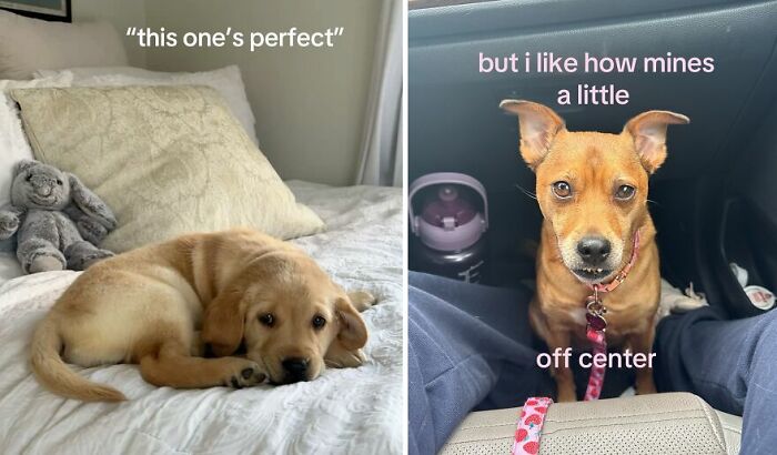 37 Beautiful Photos Showing People Celebrating What Makes Them Unique