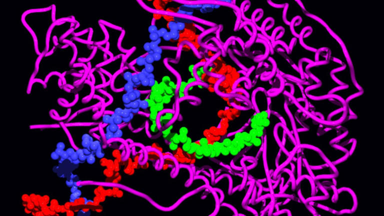 Engineered lipid nanoparticles reprogram immune metabolism to boost mRNA