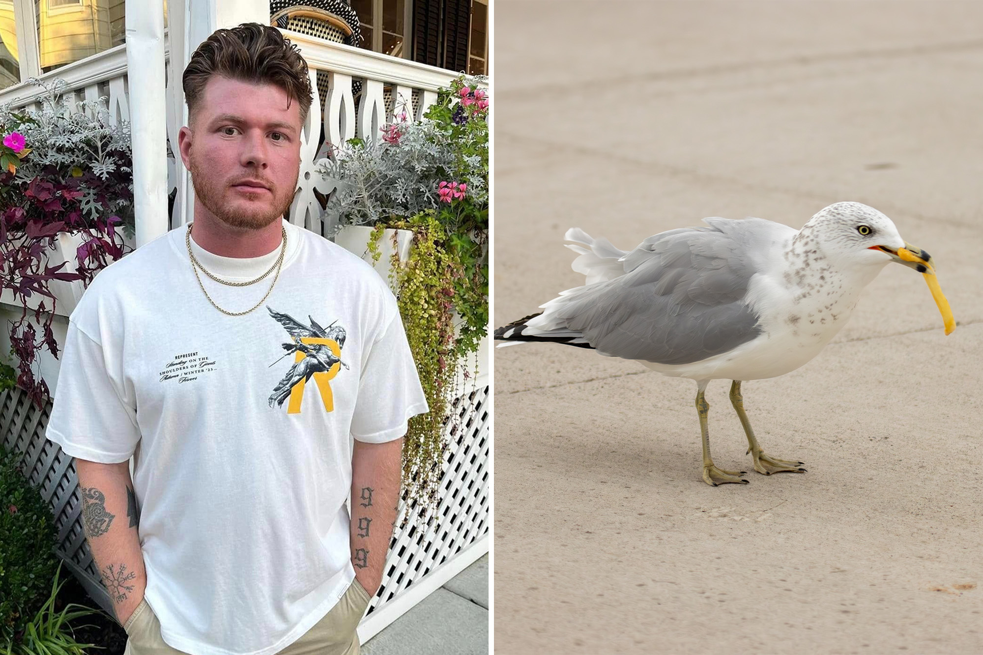 NJ Man Who Decapitated Seagull That Tried To Steal French Fry From 